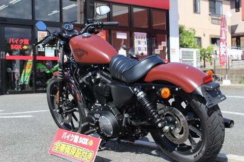 Harley-Davidson XL883N Iron リア