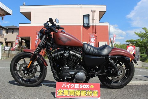 Harley-Davidson XL883N Iron