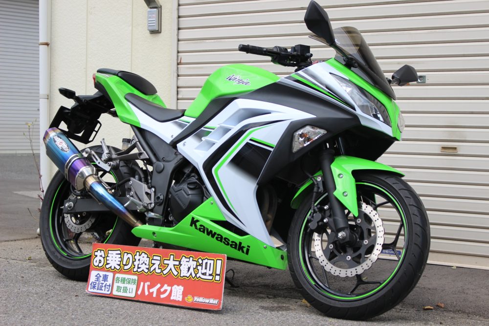 カワサキninja250R バイク用品も色々付けます - オートバイ車体