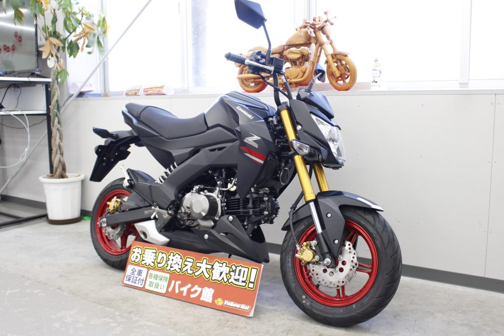SUGOMISUGINAI【Kawasaki Z125pro】