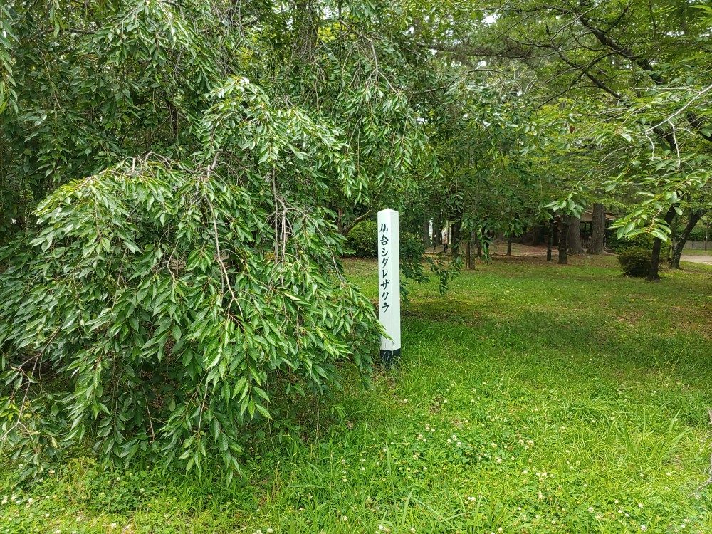 豊橋公園その2