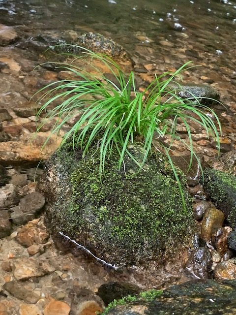 増冨ラジウムライン