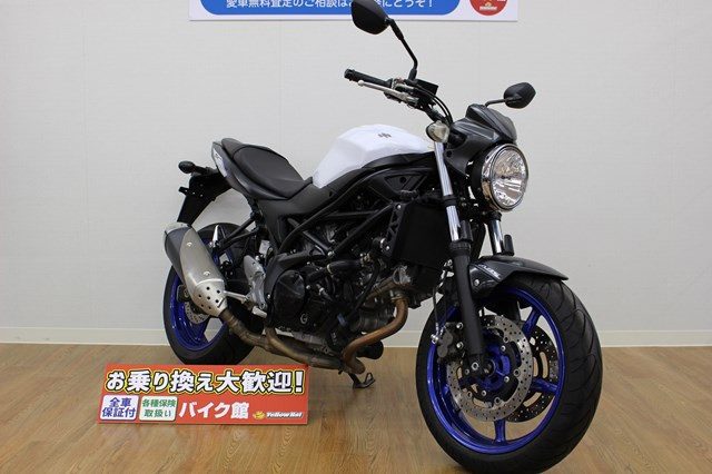 黄金色の大草原と今回のバイク紹介【スズキ　SV650　ABS】