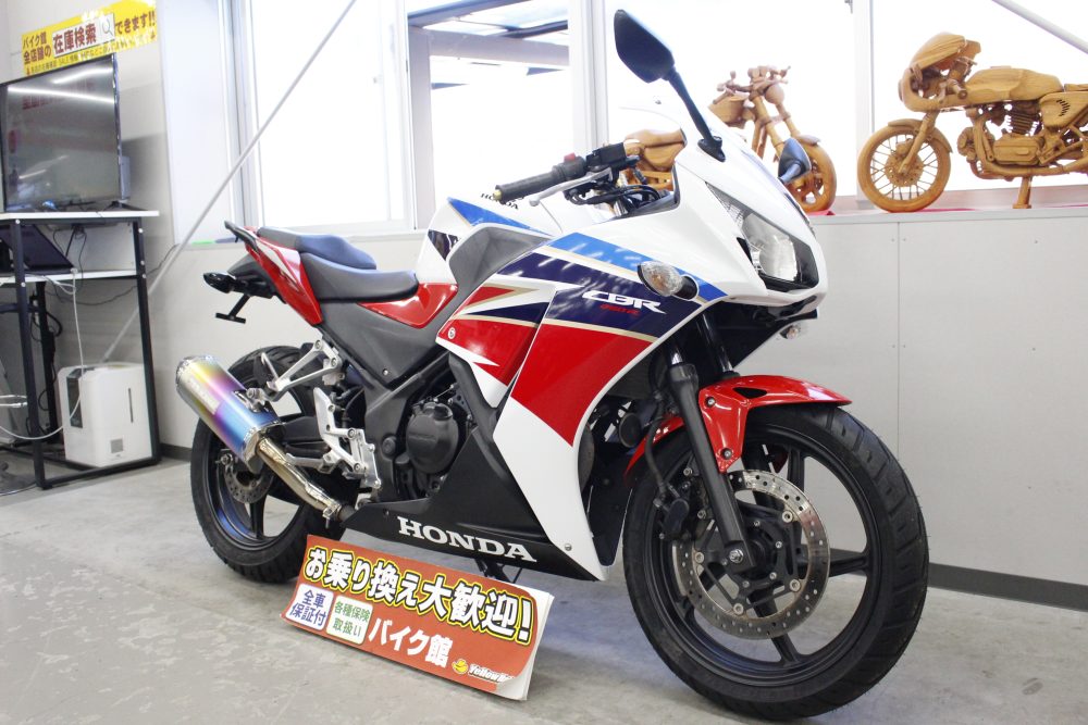 振り回しスタイル【HONDA CBR250R】