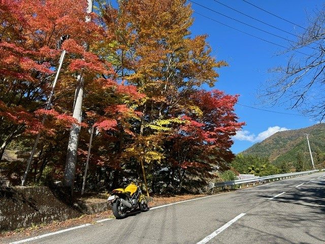 甲府店・紅葉ツーリング＆ホンダ「VTR250F」ご紹介