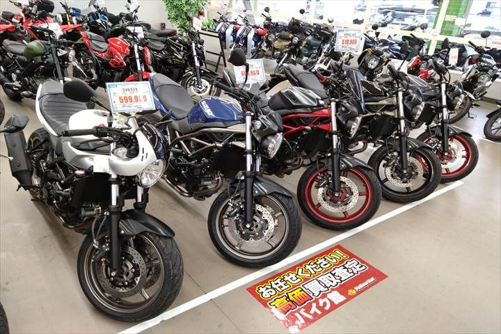 SV650たち②