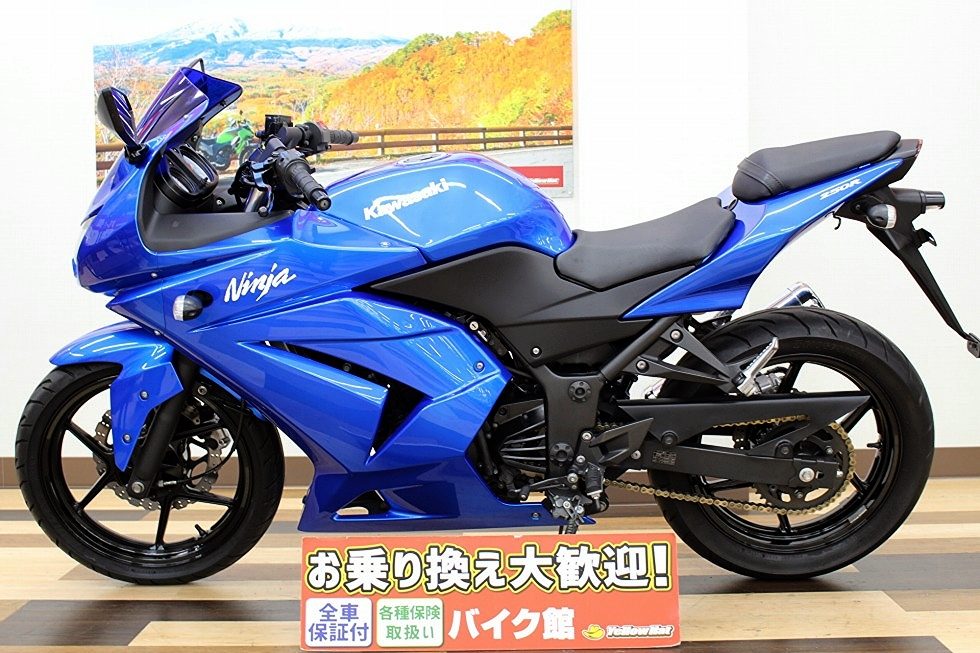 お値打ち250㏄フルカウルスポーツ！青いイナズマが入荷【KAWASAKI　NINJA250R】