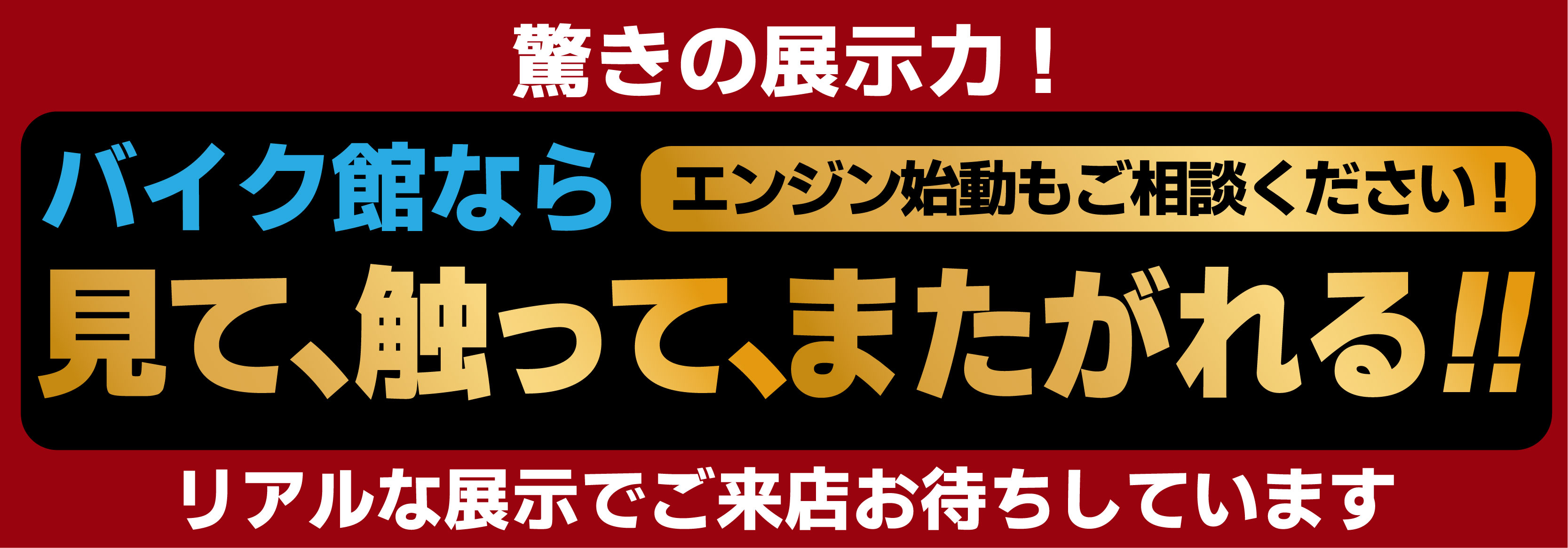 見る　触る　触る　またがる　エンジン始動