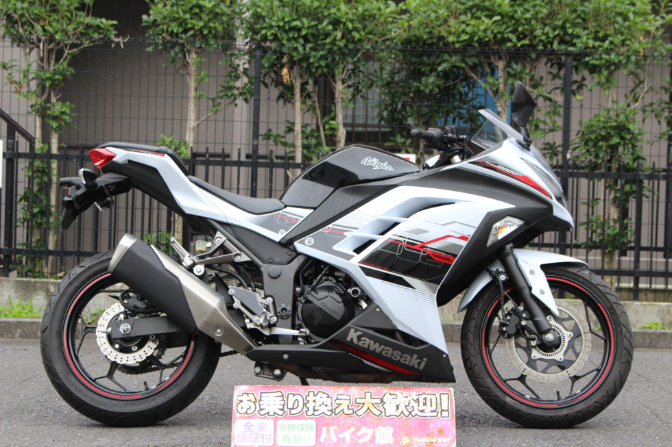 カワサキ NINJA250のバイク | 中古・新車バイクの販売・買取 ...